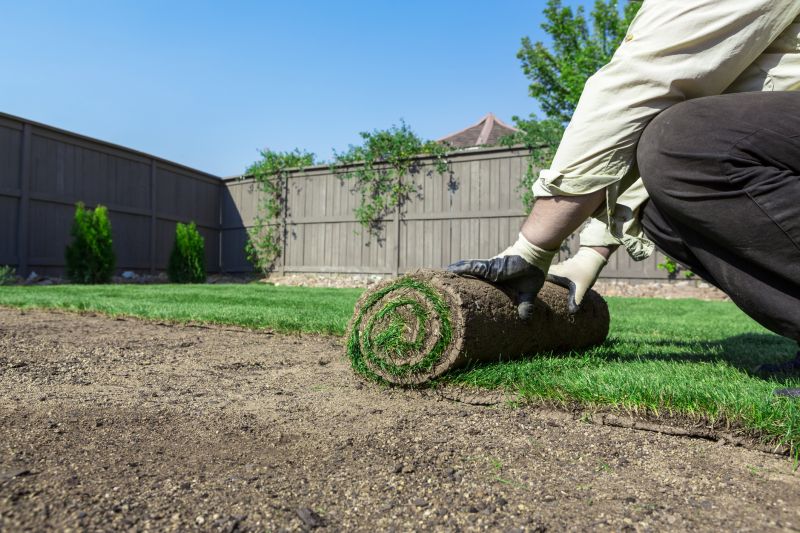 Residential yard before grading