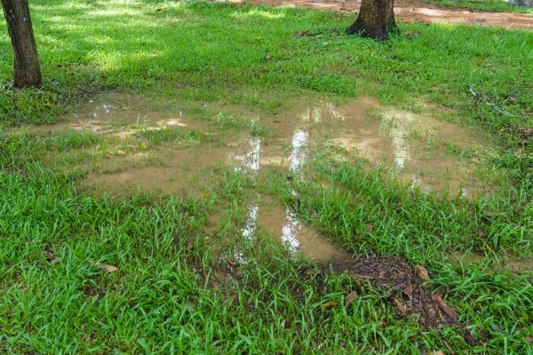 Cost of Storm Water Drainage Service in Clarksville