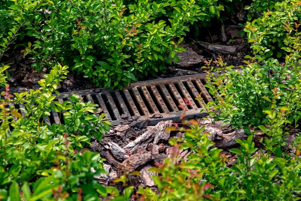 Cost of Underground Drainage Service in Clarksville