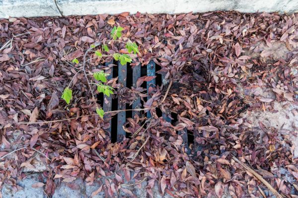 Cost of Yard Drain Unclogging in Clarksville