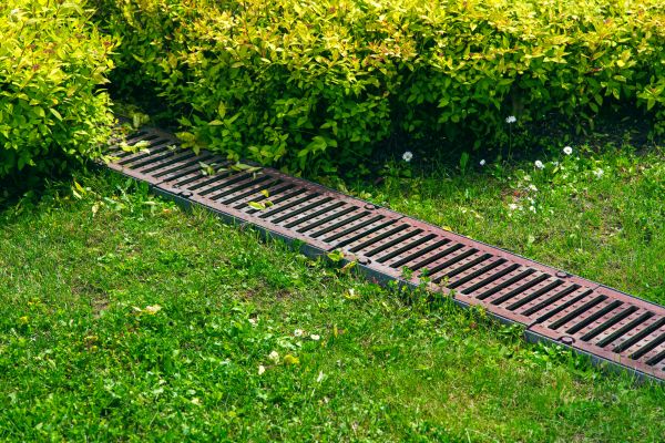 Cost of Lawn Drainage in Clarksville