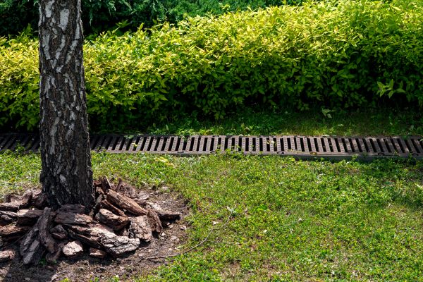 Cost of Yard Water Redirection in Clarksville