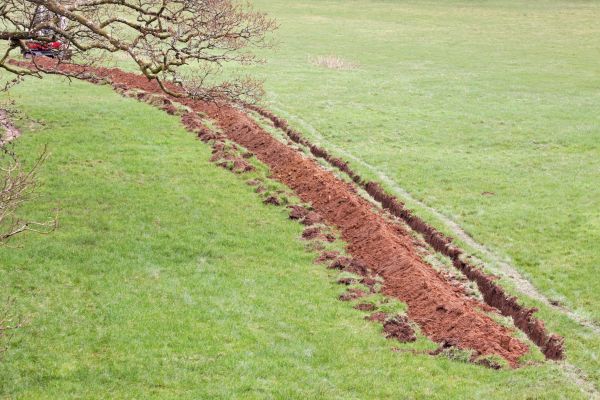 Cost of Swale Installation in Clarksville
