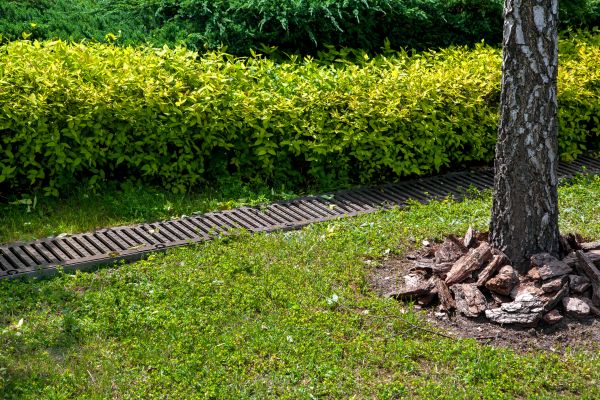 Cost of Residential Landscape Drainage in Clarksville